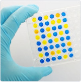 Immunochemistry