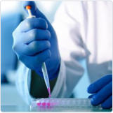 Molecular Biology