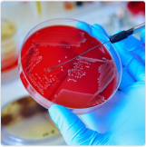 Microbiology