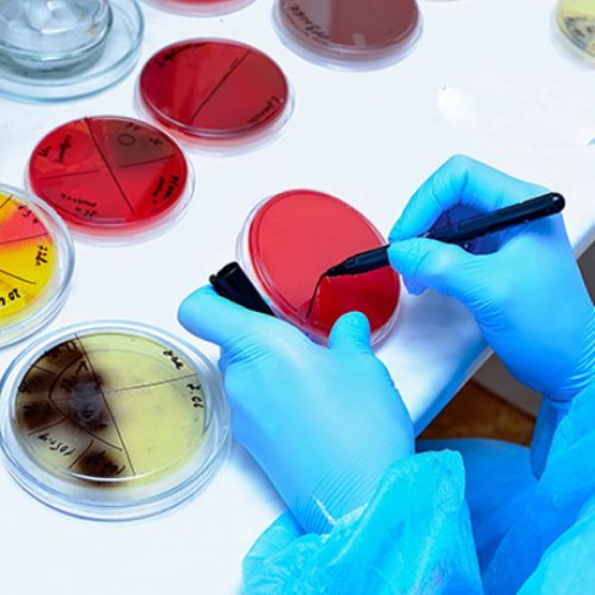 Microbiology