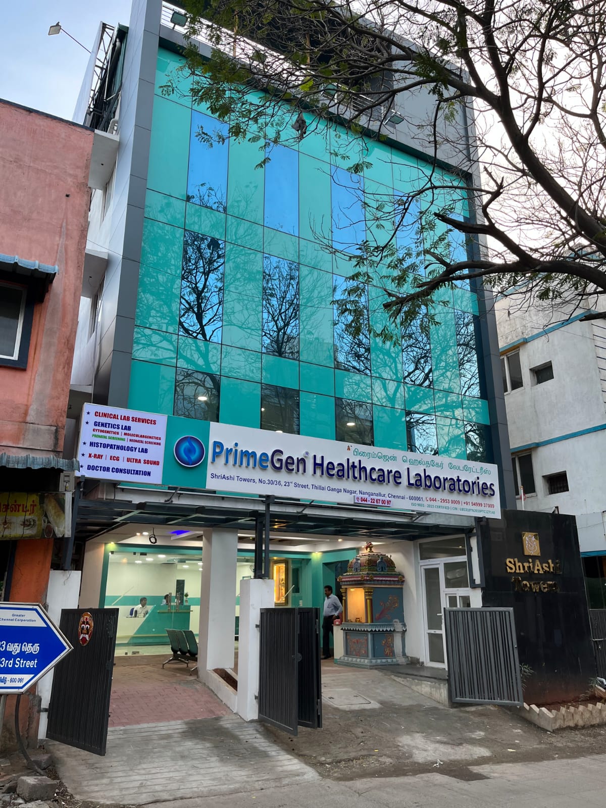 Head Office